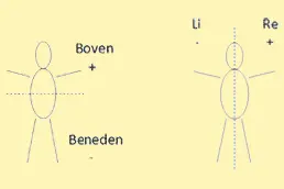 Integratieve Massage Polariteitsmassage - illustratie met de plus- en minkant in het lichaam.