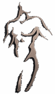 Mansage logo